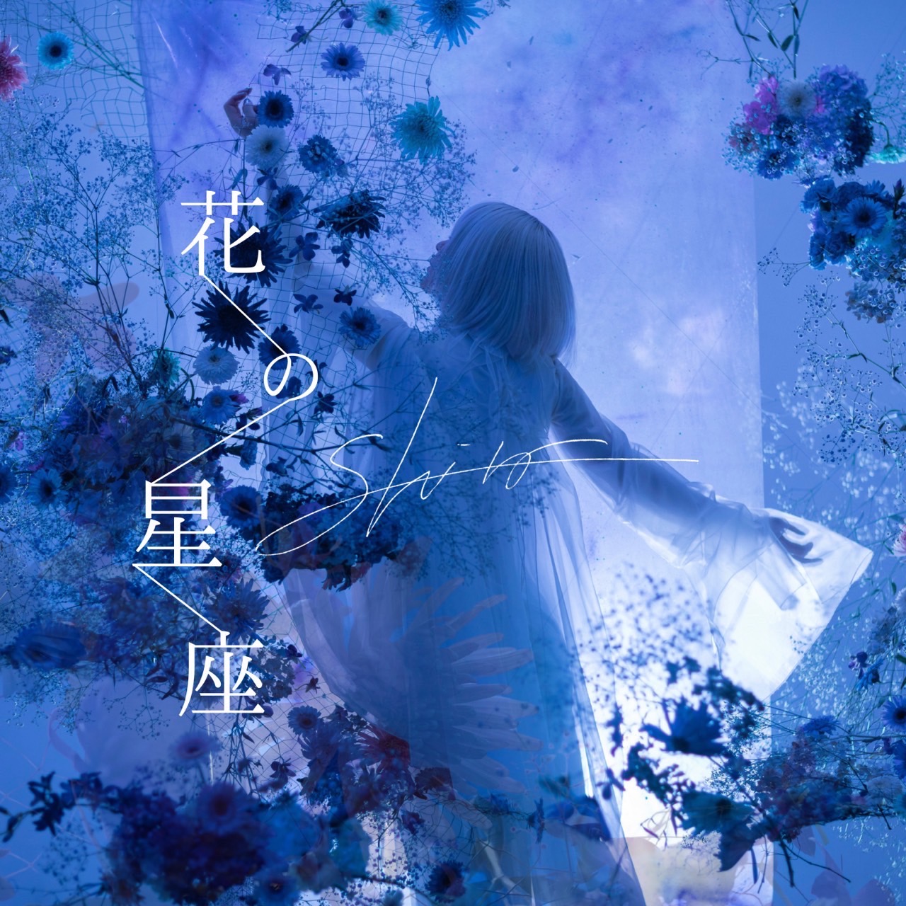 shiro アート作品